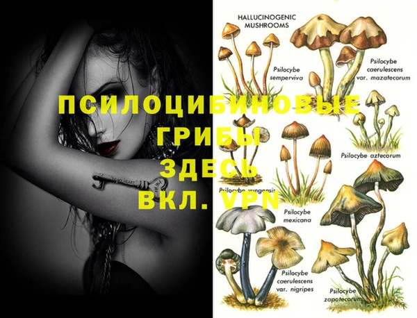круглые Зерноград