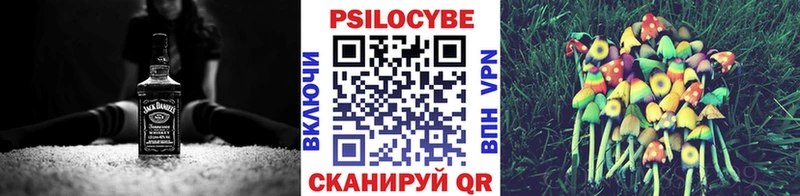 Псилоцибиновые грибы Psilocybine cubensis  хочу   Сретенск 